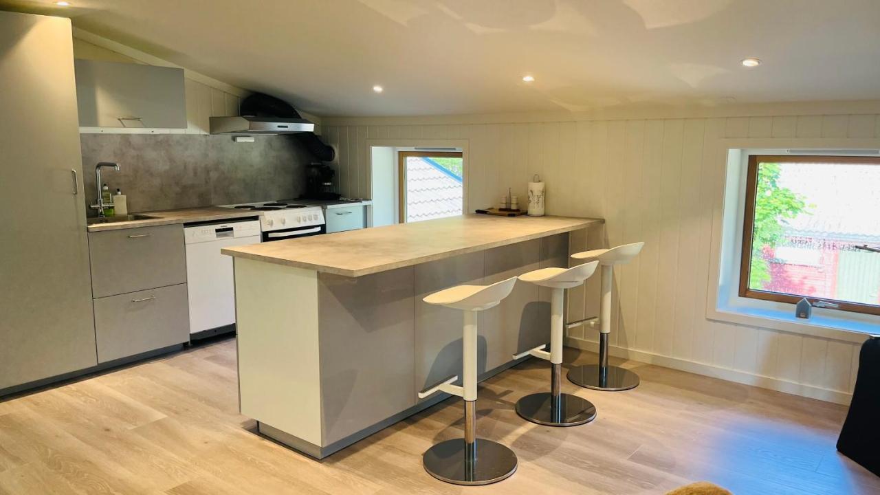 Apartament Oggevatn Birkenes Zewnętrze zdjęcie