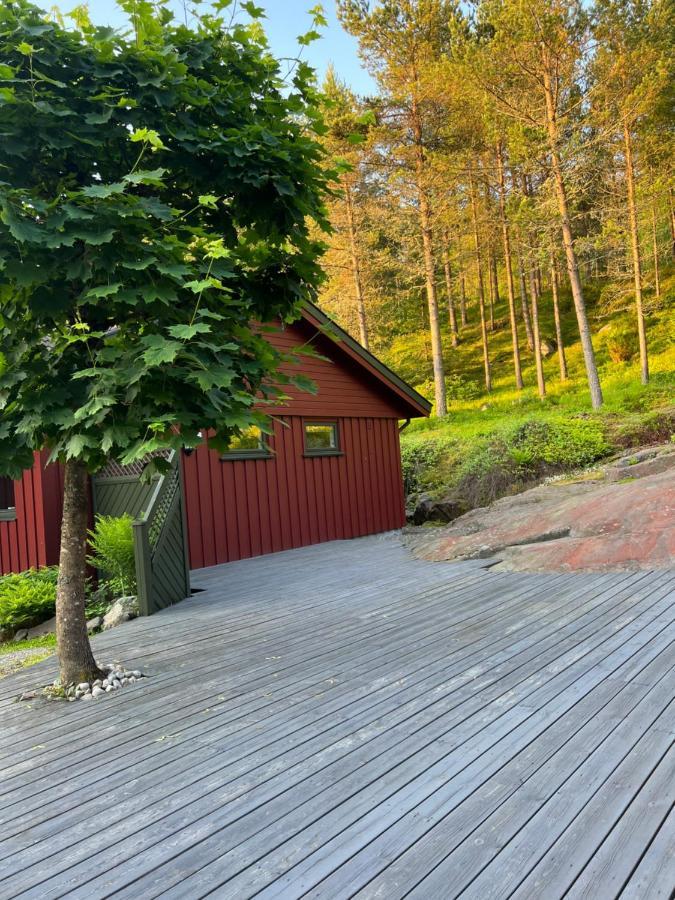 Apartament Oggevatn Birkenes Zewnętrze zdjęcie