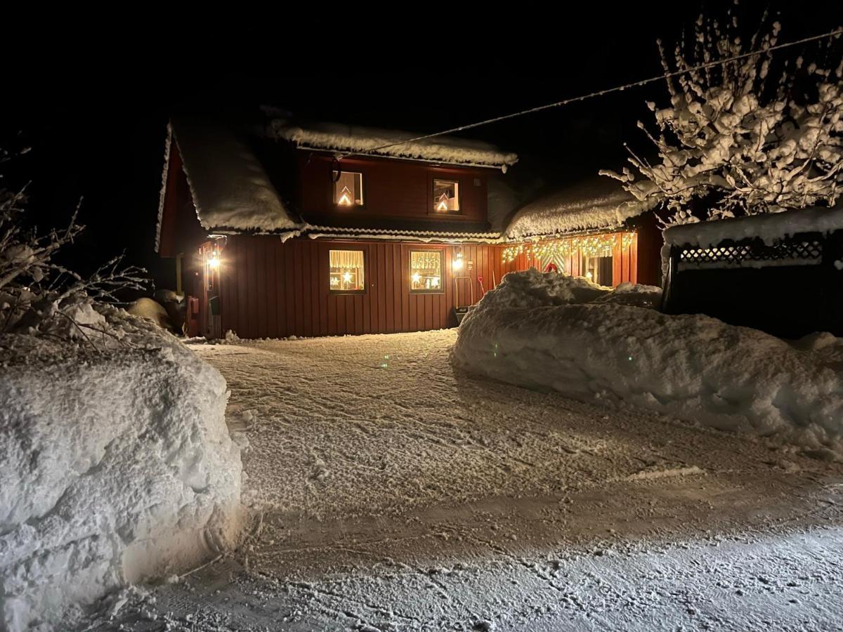 Apartament Oggevatn Birkenes Zewnętrze zdjęcie