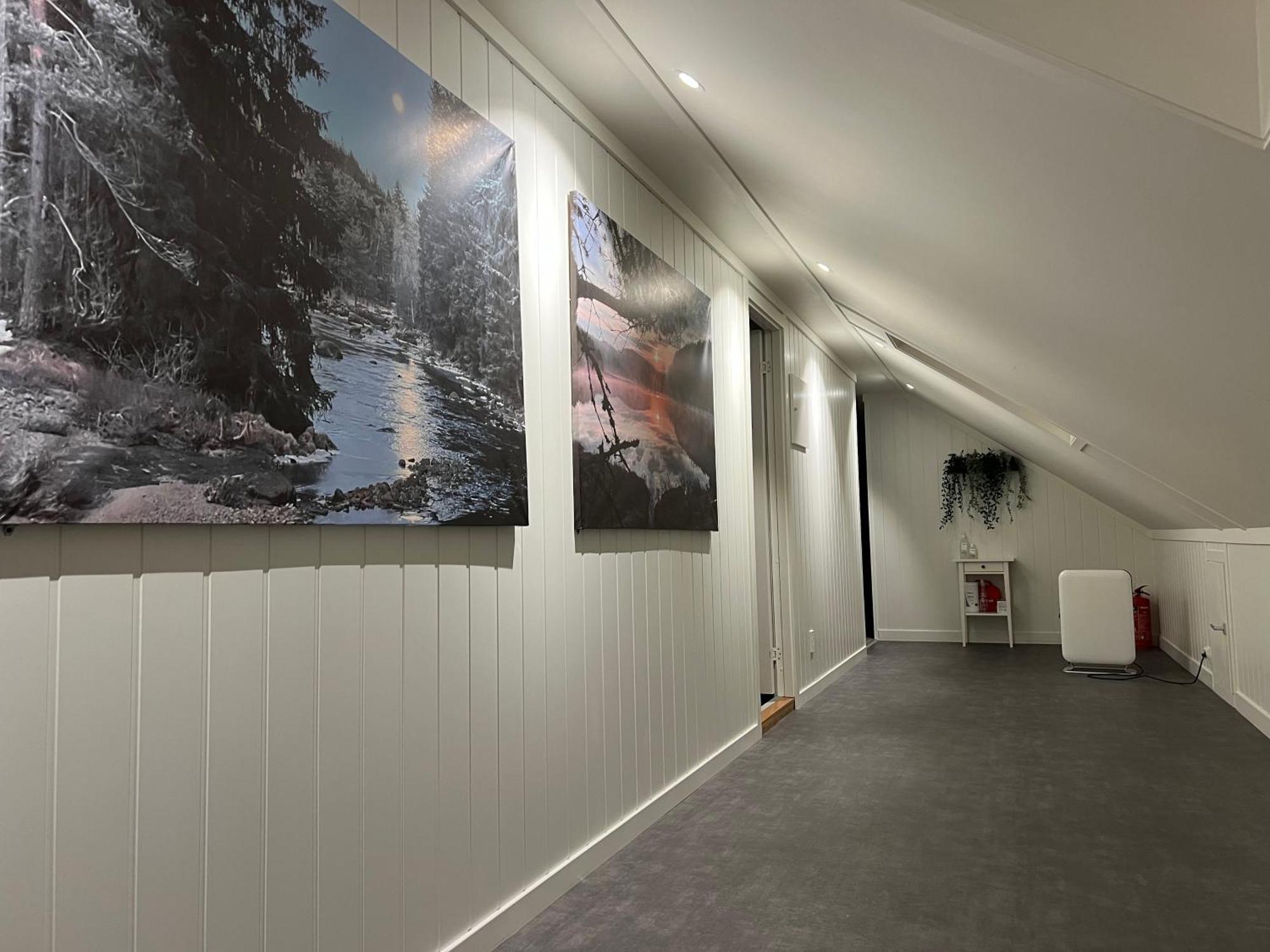 Apartament Oggevatn Birkenes Zewnętrze zdjęcie